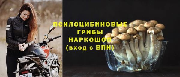 крисы Вяземский