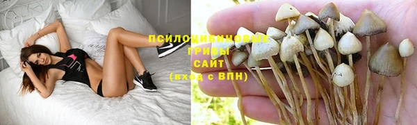 крисы Вяземский