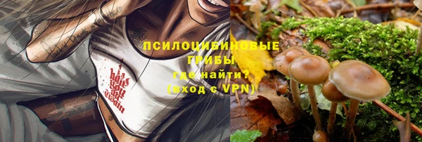 СК Вязники