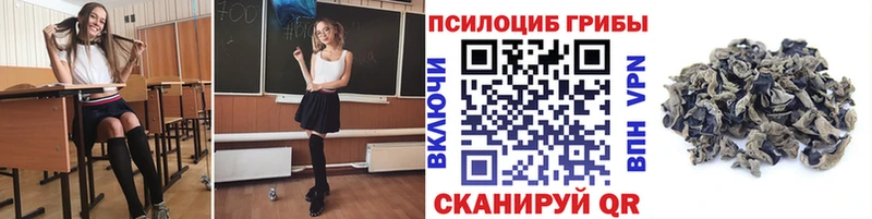 Псилоцибиновые грибы MAGIC MUSHROOMS Дальнереченск